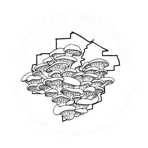 River City Mushrooms